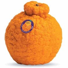 Sumo Citrus 1 lb Other deal at Publix