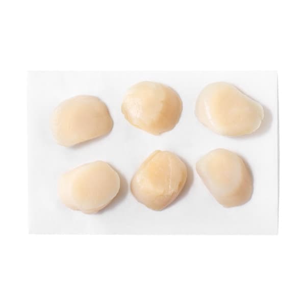 Greenwise Greenwise Sea Scallops per lb Meat & Seafood deal at Publix