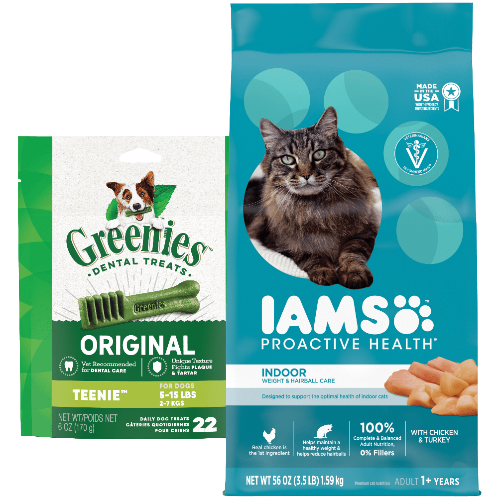 Iams Dry Cat Food 3.5 lb Pet deal at Kroger