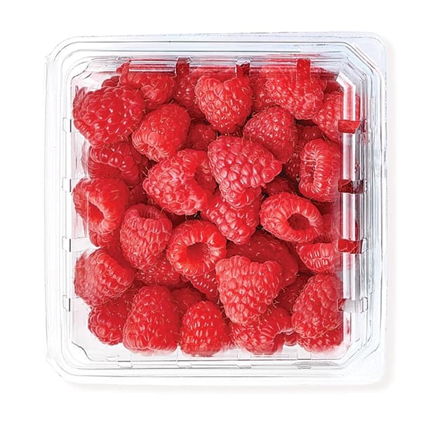 Red Raspberries 6 oz Produce deal at Publix